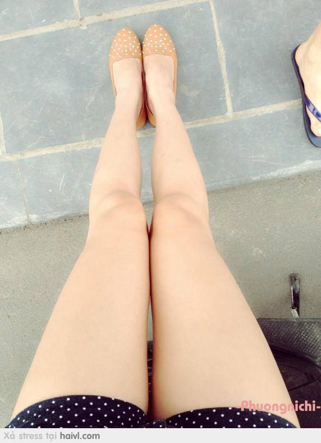 美人为馅第一季全集免费